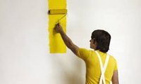 Painters in Pashan, Pune on rent in Pune, India