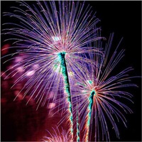 Narula Fire Crackers in Delhi on rent in Delhi, India
