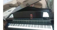 Grand Piano on rent for Video shoot in Lucknow on rent in Lucknow, India