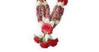 jaimala theme operators & men power in wedding on rent in Delhi, India