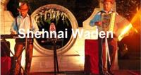 Punjabi Hindi Singer for Ladies Sangeet & Mehndi Delhi INDIA on rent in Delhi, India