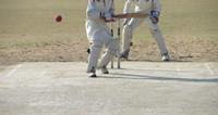 Cricket ground on rent in Delhi on rent in Delhi, India